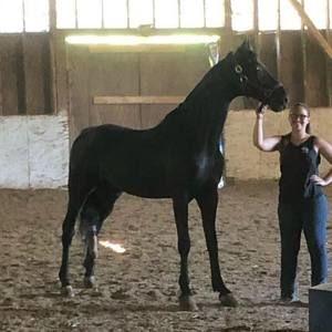 Meet your Posher, Brianna